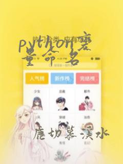 python变量命名