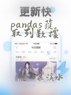 pandas获取列数据