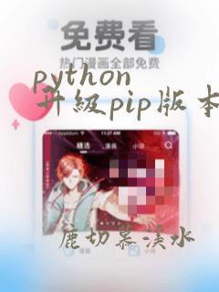 python 升级pip版本