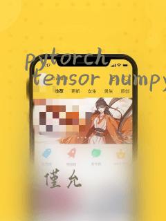 pytorch tensor numpy