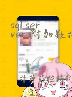 sql server 附加数据库 出错