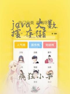 java 大数据存储