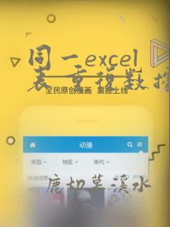 同一excel表 重复数据