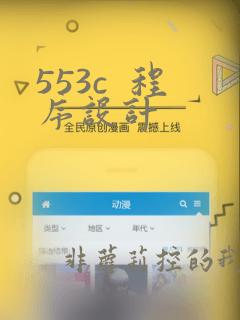 553c 程序设计