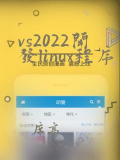 vs2022开发linux程序