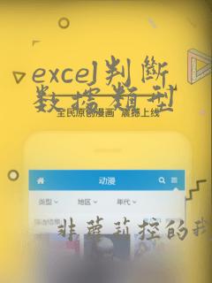 excel判断数据类型