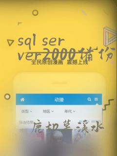 sql server2000备份数据库