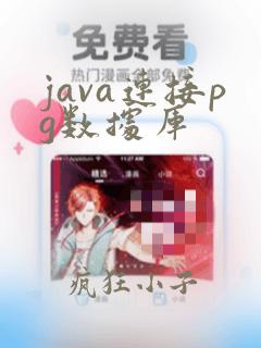 java连接pg数据库