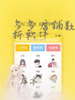 多多店铺数据分析软件