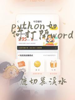 python如何打开word