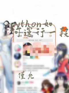python如何运行一段代码