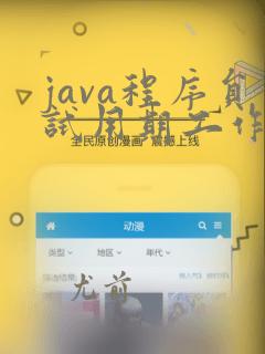 java程序员试用期工作总结