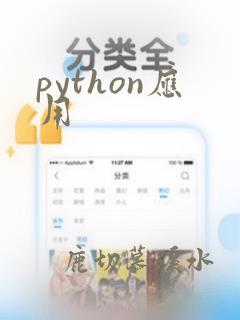 python应用