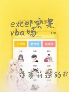 excel宏是vba吗