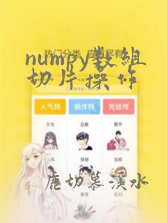 numpy数组切片操作