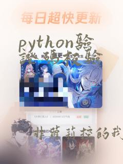 python验证码校验