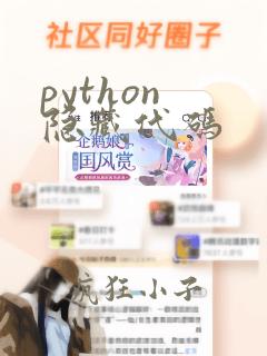 python 隐藏代码