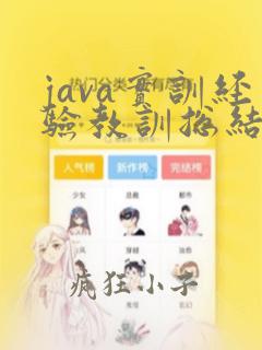 java实训经验教训总结