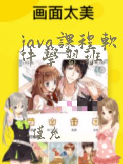 java课程软件学习班