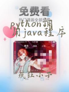 python调用java程序