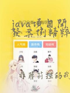 java项目开发案例精粹