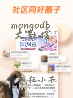 mongodb 大数据
