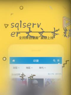 sqlserver 大文本类型