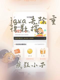 java去除重复数据