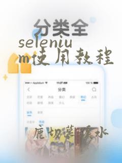 selenium使用教程