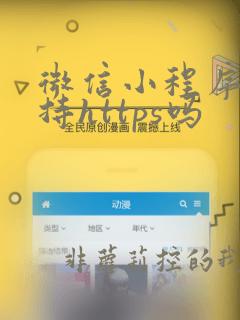微信小程序只支持https吗