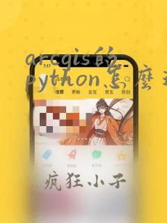 arcgis的python怎么运行