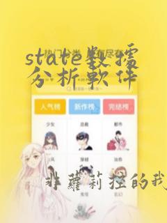 state数据分析软件