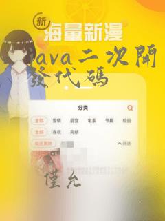 java二次开发代码