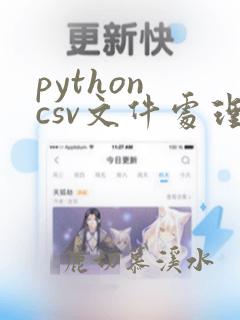 python csv文件处理