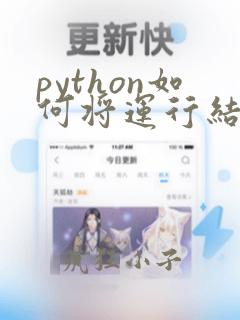 python如何将运行结果写入文件
