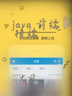 java 前端 后端