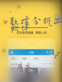 数据分析工具的软件
