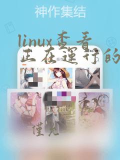 linux查看正在运行的java