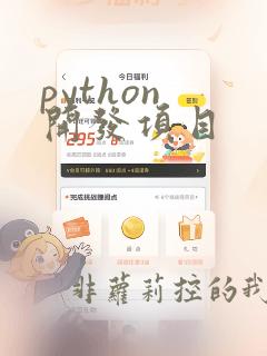 python 开发项目
