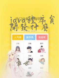 java程序员开发什么