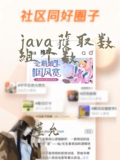 java获取数组个数