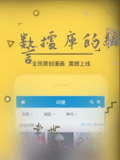 数据库的编程语言