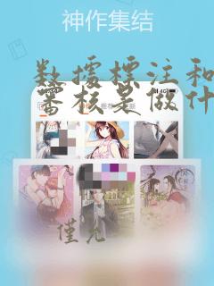 数据标注和数据审核是做什么的