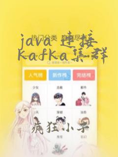 java 连接kafka集群