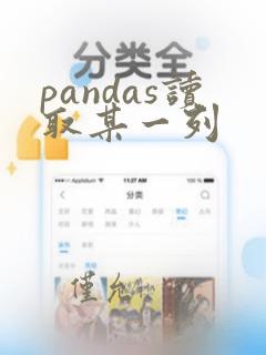 pandas读取某一列