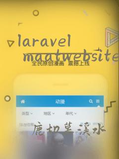 laravel maatwebsite