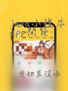 java小程序app开发