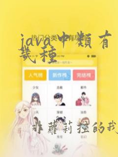 java中类有几种