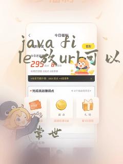 java file 放url可以读取到吗