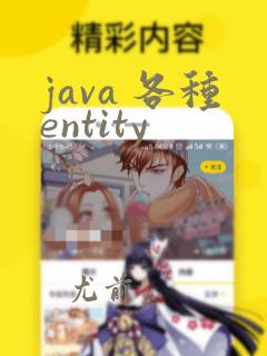 java 各种entity